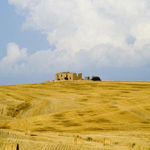 伊是香蕉大人在线观看
